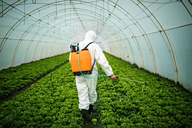 Best Pest Inspection Near Me  in Thomaston, GA