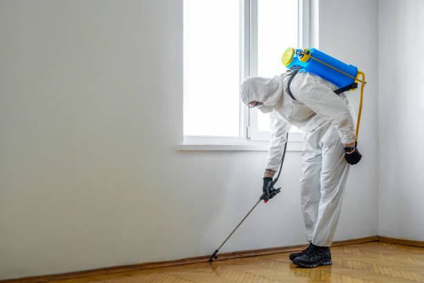 Best Wasp Removal Services  in Thomaston, GA