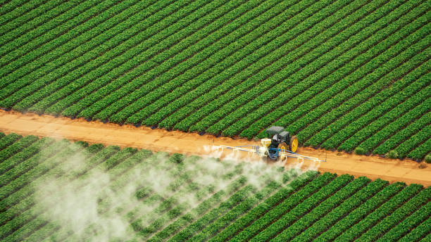 Pest Prevention Services in Thomaston, GA