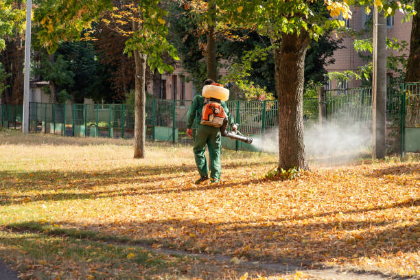 Best Flea Control Services  in Thomaston, GA