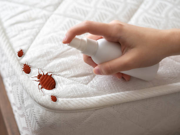  Thomaston, GA Pest Control Pros