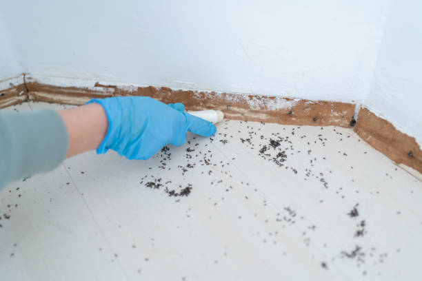 Best Commercial Pest Control Services  in Thomaston, GA