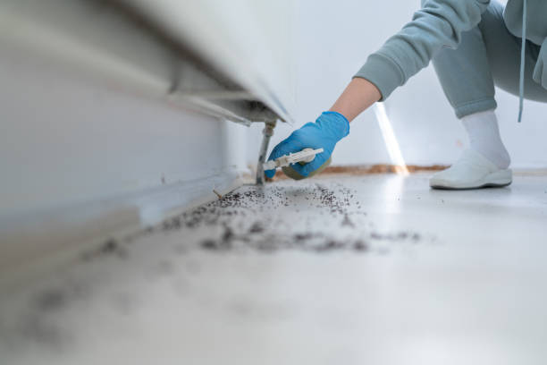 Best Wildlife Control Services  in Thomaston, GA