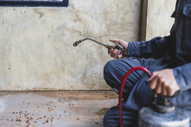 Professional Pest Control in Thomaston, GA